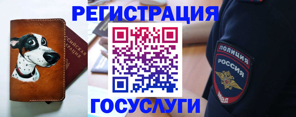 временная регистрация в квартире в Фрязино